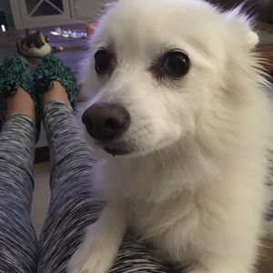 Meet your Posher, Christine